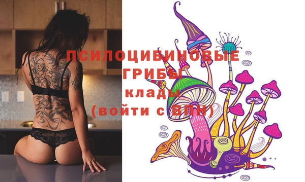 тгк Абинск