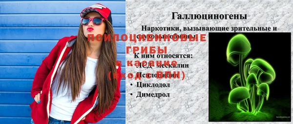 гидропоника Абаза