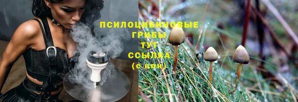 гидропоника Абаза